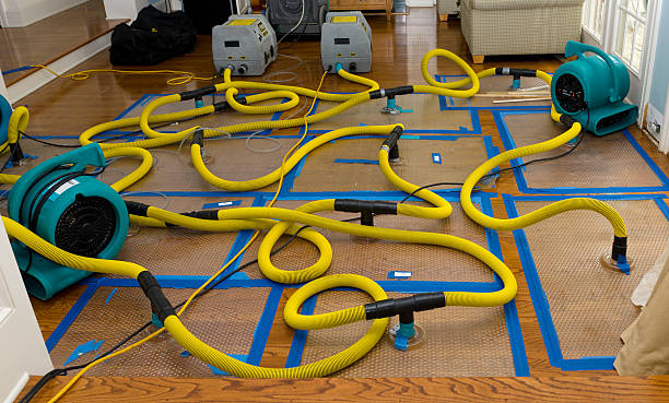 Professional Basement Flood Cleanup technician working in Emory, TX